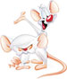 pinky and the brain